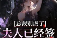 小说《总裁别虐了,夫人已经签了离婚书》完整版章节免费阅读-红梅文学