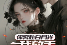 寻找你奔赴白月光,我放手你挽留什么小说的最新更新章节-红梅文学