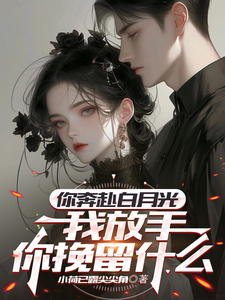 寻找你奔赴白月光，我放手你挽留什么小说的最新更新章节