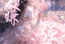 免费在线阅读穿越后,我逆改人设变团宠小说的正规网站有哪些?-红梅文学