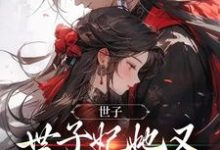 小说《世子,世子妃她又开始扮可怜了》完整版在线章节免费阅读-红梅文学