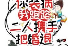 《你装病,我跑路,二人携手把婚退》全集免费在线阅读(方詹宁楼允宸)-红梅文学