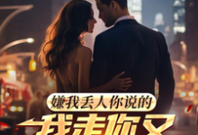 小说完整版《嫌我丢人你说的,我走你又哭什么》免费阅读-红梅文学