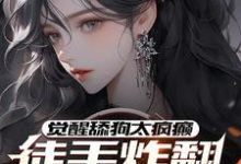 完整版的觉醒舔狗太疯癫,徒手炸翻娱乐圈小说在哪里可以免费读到?-红梅文学