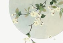 快穿之我要独美小说的所有章节都能在哪里免费读到?-红梅文学
