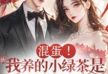已完结小说《混蛋!我养的小绿茶是京圈太子爷》在线章节阅读-红梅文学