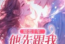 完整版《暗恋十年，他先跟我表白了》小说免费阅读-红梅文学