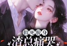 假死脱身,渣总痛哭流涕求我归家小说,假死脱身,渣总痛哭流涕求我归家在线阅读-红梅文学