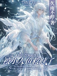 《佣兵首领陨落后，被小人鱼救赎了》完整版小说免费阅读