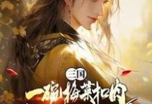唐羽小说完结版在线阅读,三国:一碗梅菜扣肉,我竟黄袍加身?免费看-红梅文学