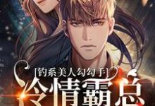 沈辞盈沈让尘小说免费阅读完整版-红梅文学