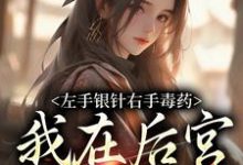 左手银针右手毒药,我在后宫杀疯了这本小说在哪里可以看?哪里有免费试读章节?-红梅文学