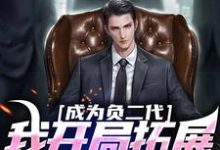 《成为负二代,我开局拓展海外市场》苏辰小说免费阅读完整版-红梅文学