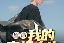 凰命:我的官场人生小说有没有完结版在线?-红梅文学