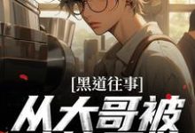 黑道往事:从大哥被暗算开始这本小说在哪里可以看?哪里有免费试读章节?-红梅文学