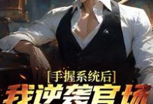 手握系统后,我逆袭官场权势巅峰小说有没有完整的免费版本在线阅读?-红梅文学