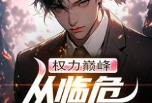 小说《权力巅峰:从临危受命开始》章节免费阅读-红梅文学