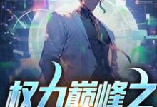 宁远尘萧若瑾小说权力巅峰之宦海浮沉完整版阅读-红梅文学