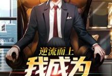 《逆流而上,我成为官道新贵!》完整版小说免费阅读-红梅文学