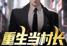 《重生当村长,狗都住别墅》完整版小说免费阅读-红梅文学