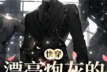 完结版《【快穿】漂亮炮灰的恶人进化指南》章节阅读-红梅文学