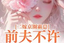 完结版《二嫁京圈霸总,前夫不许来捣乱》章节目录在线阅读-红梅文学