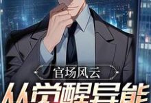 官场风云:从觉醒异能开始升官小说全文阅读需要付费吗?寻找免费资源-红梅文学