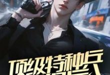 哪里能找到顶级特种兵退役后,在官场呼风唤雨小说的全部章节?-红梅文学