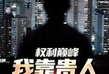 陆小阳小说免费阅读完整版-红梅文学