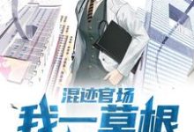 混迹官场:我一草根平步青云小说的免费电子版在哪里可以下载或阅读?-红梅文学