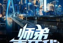 叶擎苍小说师弟,弄死我!在线阅读章节-红梅文学