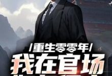 求重生零零年:我在官场如鱼得水小说免费资源-红梅文学
