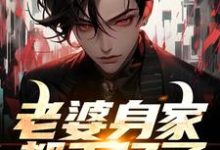 老婆身家都千亿了，我该不该躺？林辰许梦瑶，老婆身家都千亿了，我该不该躺？在线无弹窗阅读-红梅文学