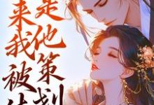 小说《勾心:原来我被休是他策划的》章节免费阅读-红梅文学