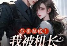 小说《危机航线!我被机长夺心了》完整版章节免费阅读-红梅文学