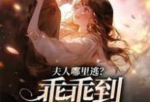 完结版《东南亚大佬疯狂强制爱》章节阅读-红梅文学