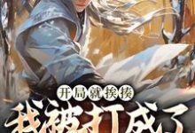 《开局就挨揍,我被打成了武林至尊》全集免费在线阅读(叶青)-红梅文学