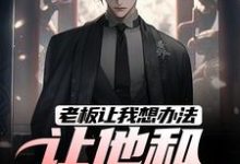 老板让我想办法,让他和老婆离婚这本小说完结了吗?免费查看最新章节-红梅文学