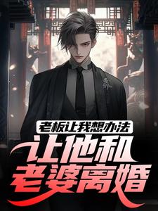 老板让我想办法，让他和老婆离婚这本小说完结了吗？免费查看最新章节