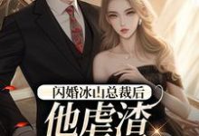 闪婚冰山总裁后,他虐渣玩上瘾了这本小说完结了吗?免费查看最新章节-红梅文学