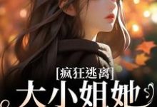 沈京瓷霍骁完整版小说免费阅读-红梅文学