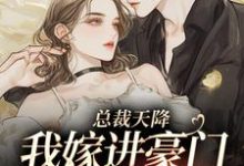 小说完整版《总裁天降，我嫁进豪门当乖宝》免费阅读-红梅文学