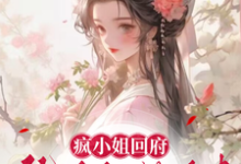 求疯小姐回府:仇人们,纳命来小说的全文免费阅读链接-红梅文学