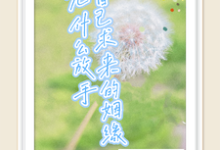 自己求来的姻缘,凭什么放手完整版小说,自己求来的姻缘,凭什么放手最新章节-红梅文学
