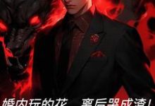 《婚内玩的花,离后哭成渣!》王刚秦雅妮小说免费阅读完整版-红梅文学