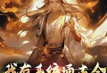 完结版《我有系统通古今,开局就反清》章节目录在线阅读-红梅文学