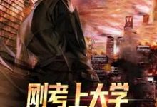 小说完整版《刚考上大学,我被选上了修仙》免费阅读-红梅文学
