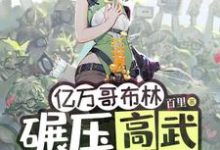 亿万哥布林,碾压高武很合理吧?小说全文哪里可以免费看?-红梅文学