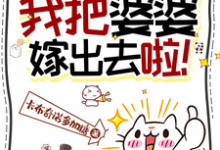 王百花小说《一品官媒:我把婆婆嫁出去啦!》在线阅读-红梅文学