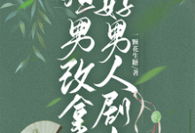 渣男改拿好男人剧本宋启明,渣男改拿好男人剧本章节在线阅读-红梅文学